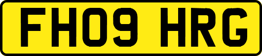 FH09HRG