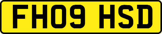 FH09HSD