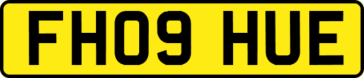 FH09HUE
