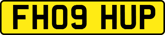 FH09HUP