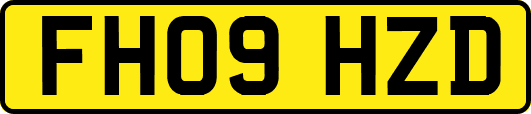 FH09HZD