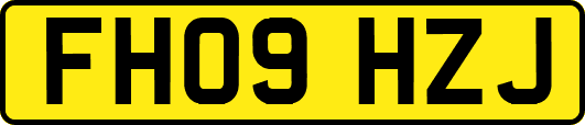 FH09HZJ