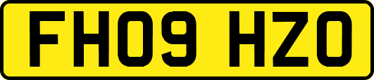 FH09HZO