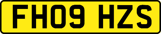 FH09HZS