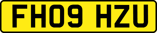 FH09HZU