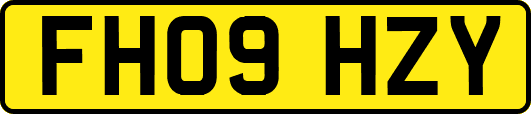 FH09HZY
