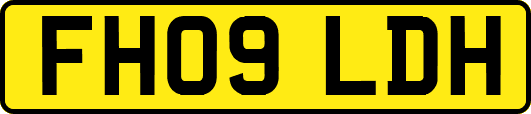 FH09LDH