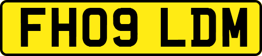 FH09LDM