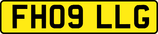 FH09LLG