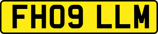 FH09LLM