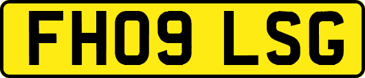 FH09LSG