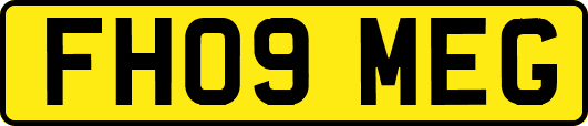 FH09MEG