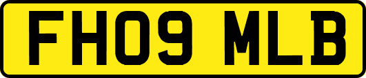 FH09MLB