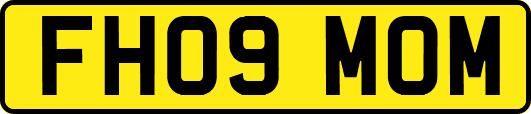 FH09MOM