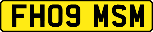 FH09MSM