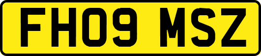 FH09MSZ