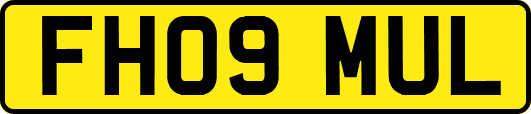 FH09MUL