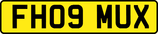 FH09MUX