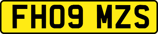 FH09MZS