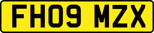 FH09MZX