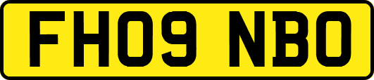 FH09NBO