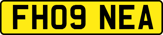 FH09NEA