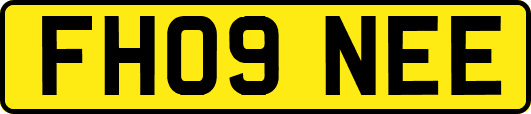 FH09NEE