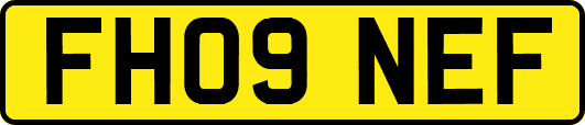 FH09NEF