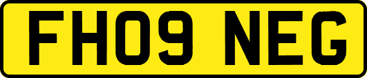 FH09NEG