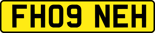 FH09NEH