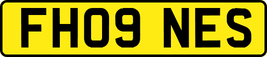 FH09NES