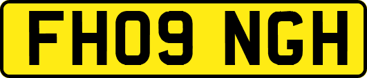 FH09NGH