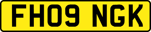 FH09NGK