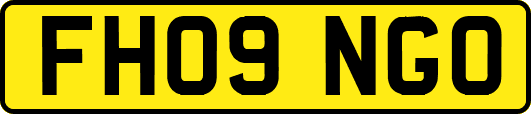 FH09NGO