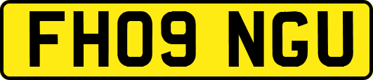 FH09NGU