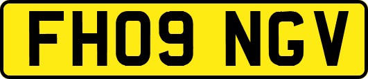 FH09NGV