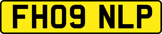 FH09NLP