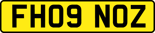 FH09NOZ