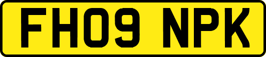 FH09NPK