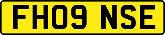 FH09NSE
