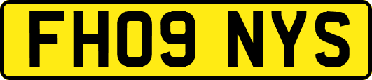 FH09NYS