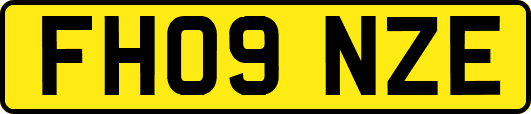 FH09NZE