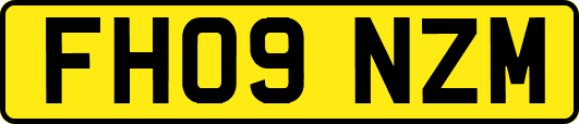 FH09NZM