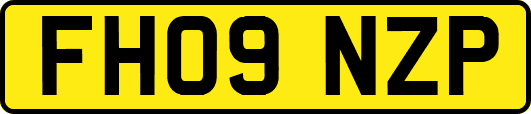 FH09NZP