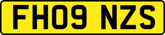 FH09NZS