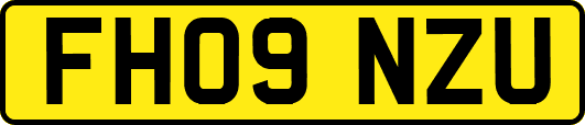 FH09NZU