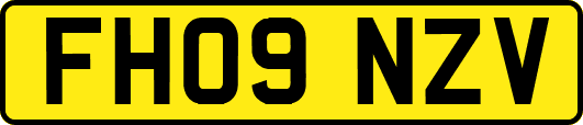 FH09NZV