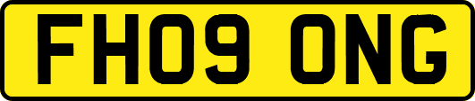 FH09ONG