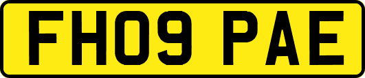 FH09PAE