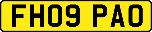 FH09PAO